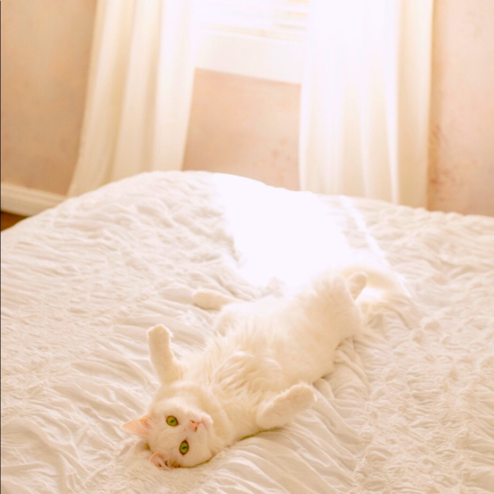 Thanks for shopping my closet!